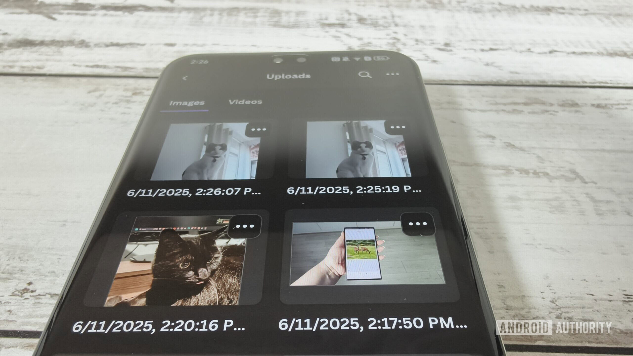 duplicate images in the canva uploads folder duplicate images in the canva uploads folder