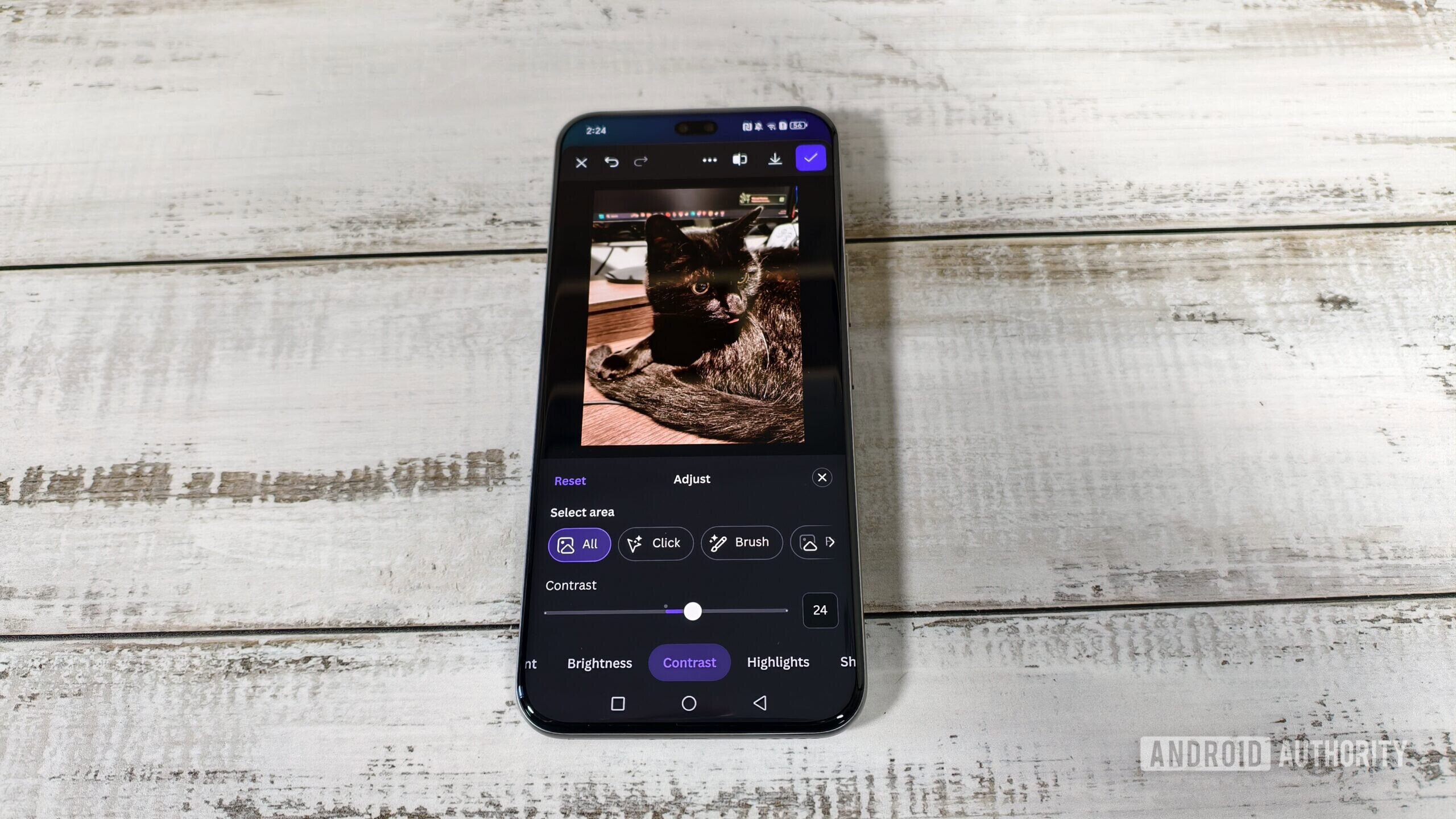 editing a photo of a cat in the canva app editing a photo of a cat in the canva app