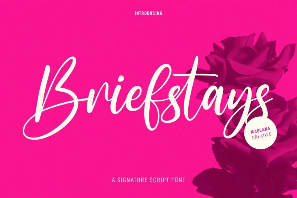 Briefstays Script Font