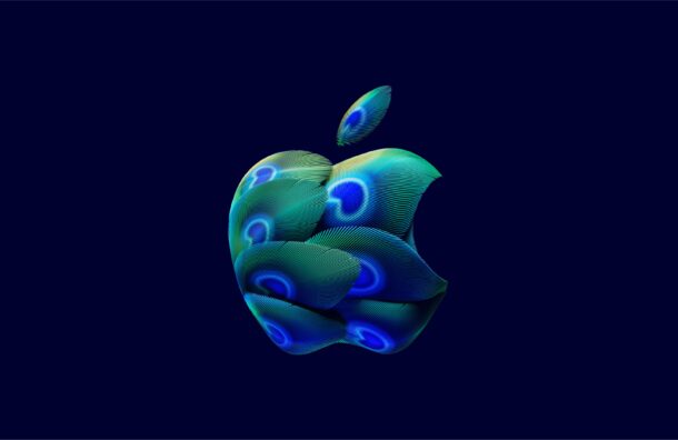 Apple peacock feather wallpaper from Hebbal india store opening