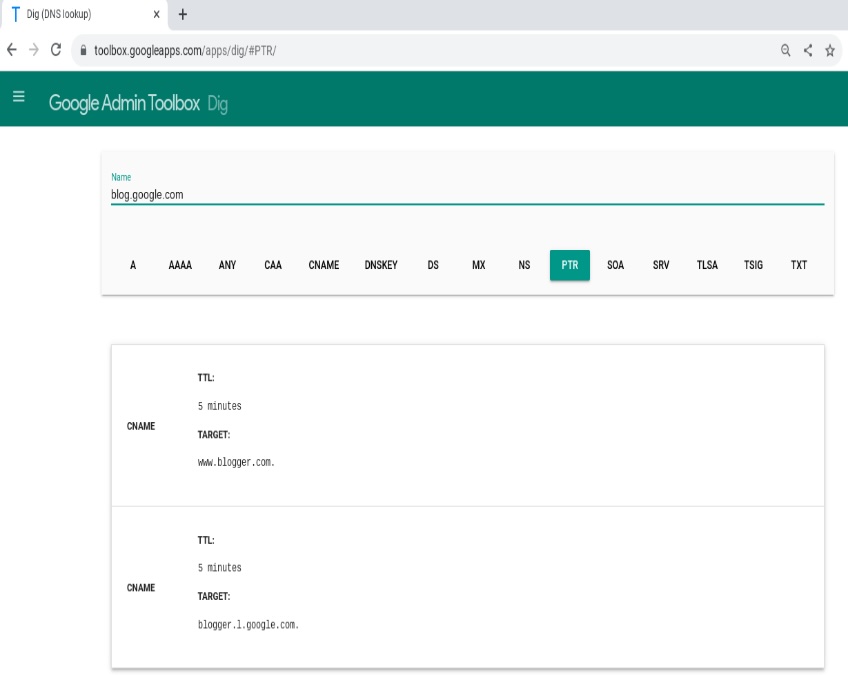 PTR record in Google Dig tool