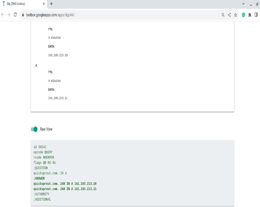 Dig tool with Raw button toggled on.