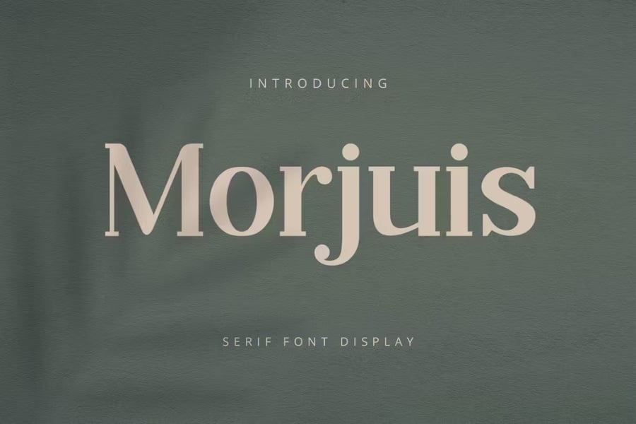 Morjuis Font Similar To Caslon