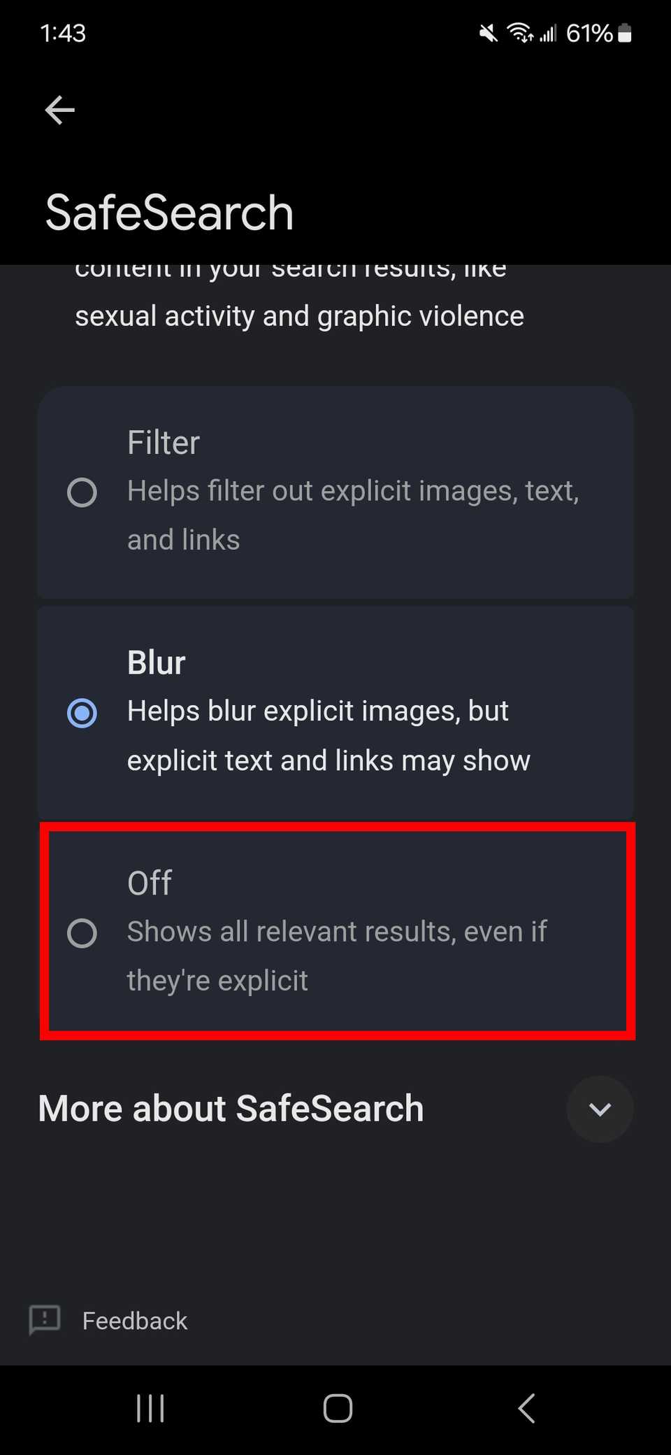 red rectangle outline over off toggle on safesearch page