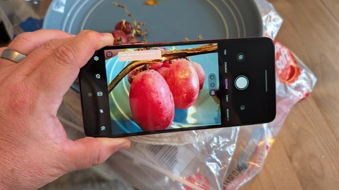 A person holding a smartphone to photograph red grapes against a blue plate, with a plastic bag in the background.